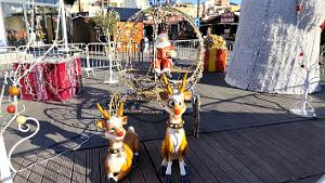 2024 12 20 CAP D AGDE - MARCHE DE NOEL (22)